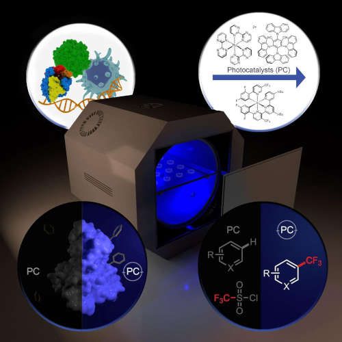 covalent-labeling.jpg